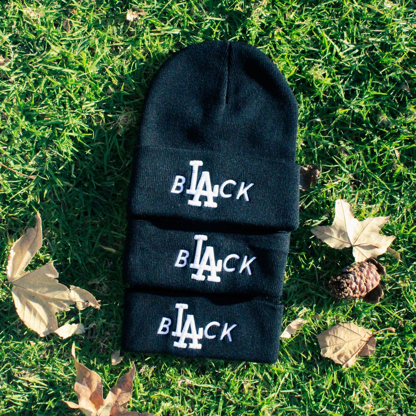 Black Los Angeles® Beanie